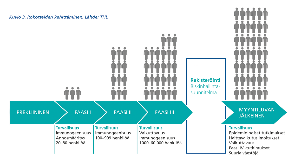 Kuvio 3. Kuvassa kuvattu rokotteiden kehittämisen vaiheet ja tarkempia tietoja näistä vaiheista. Lähde THL. Prekliininen vaihe. Faasi I: Immunogeenisuus, annosmääritys, 20-80 henkilöä. Faasi II: Immunogeenisuus, 100-999 henkilöä. Faasi III: Vaikuttavuus, immunogeenisuus, 1000-60000 henkilöä. Rekisteröinti: riskienhallintasuunnitelma. Myyntiluvanjälkeinen vaihe: Epidemiologiset tutkimukset, haittavaikutusilmoitukset, vaikuttavuus, faasi IV -tutkimukset, suuria väestöjä.