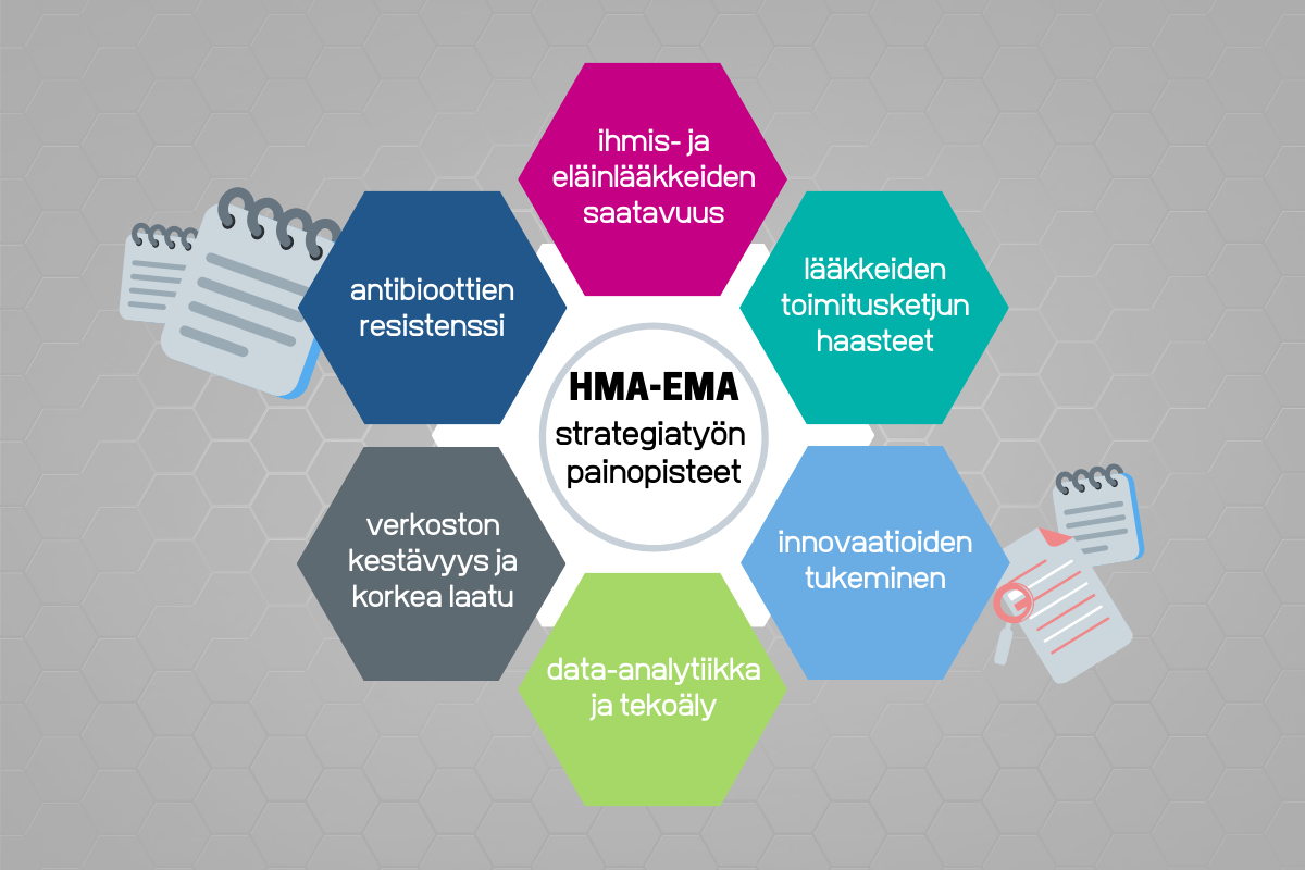 HMA-EMA strategian painopisteet. Kuvion sisältö löytyy artikkelista.