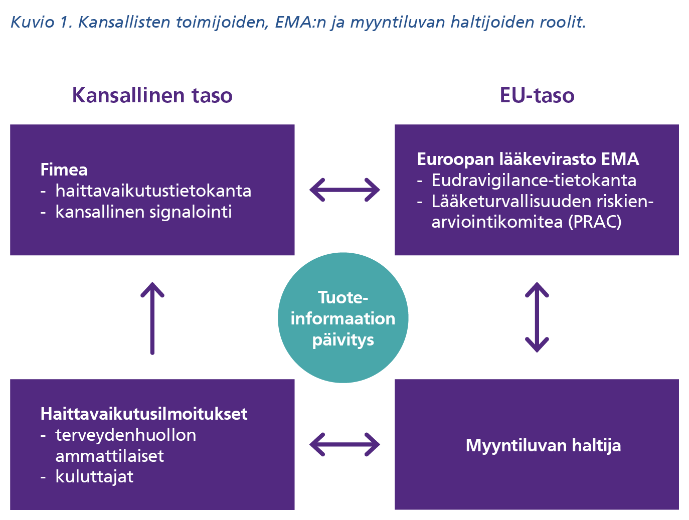 Kuvion sisältö on kerrottu artikkelissa.